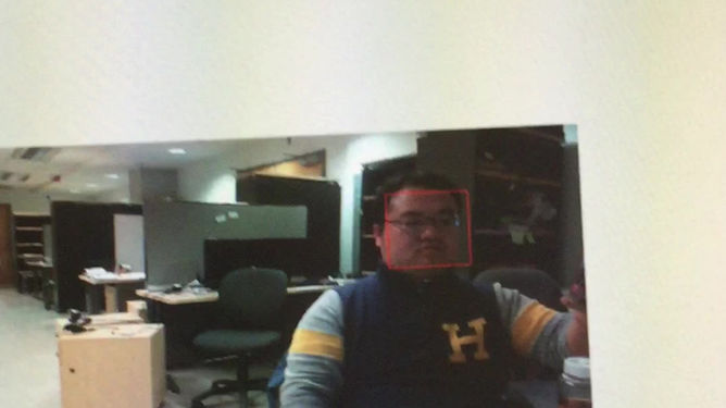 Face Detection